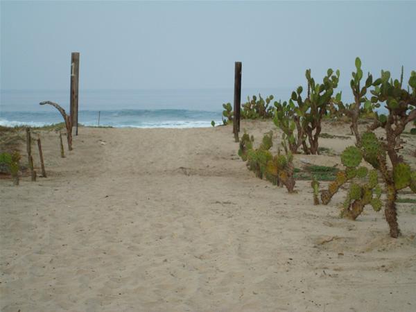 Path to Beach