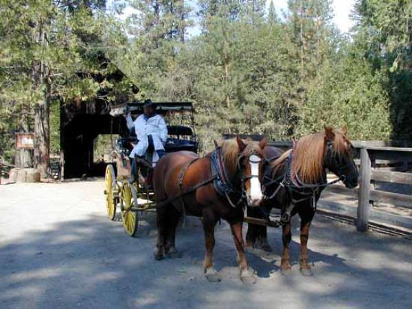 Stagecoach rides - short walk from home
