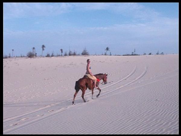 Horseback riding in the sand dunes around the house