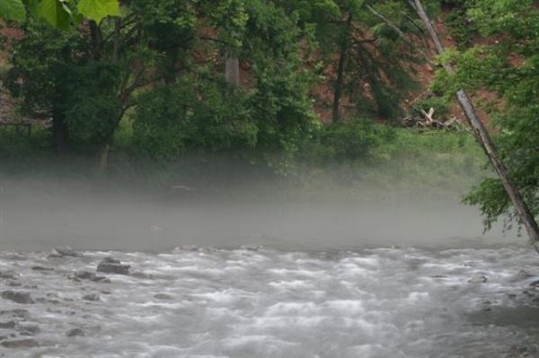 Mist River