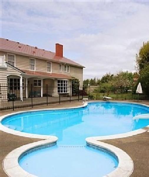 Pool with Slide and Diving Board