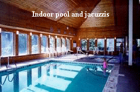 Gatlinburg Condo Rentals: Indoor Pool