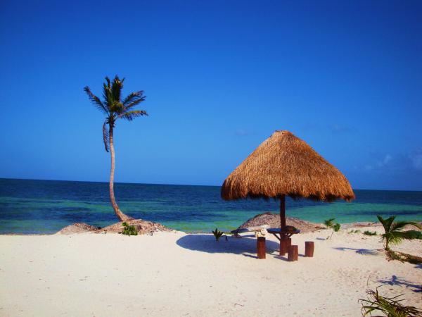 Have lunch in your own private beach palapa