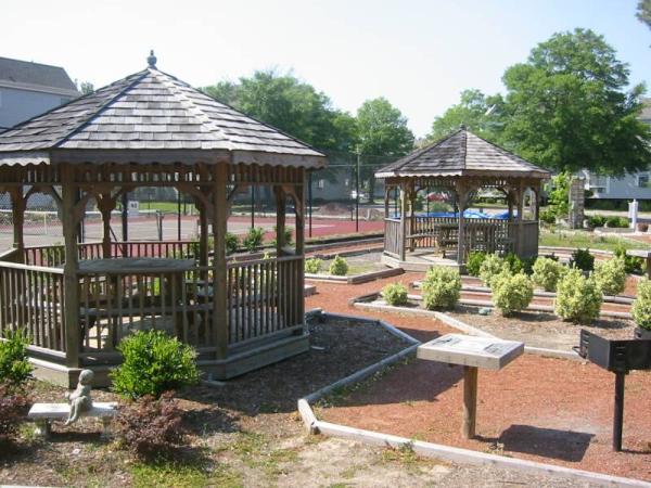 Community Gazebo's and Grill Area