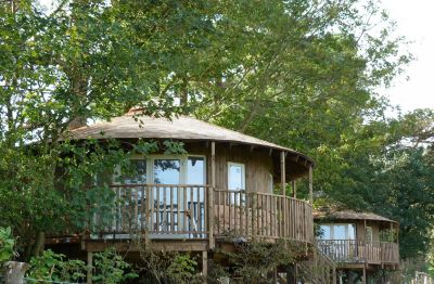 Eco Lodge Tree Houses