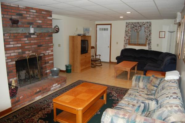 Lower Level Family room with Fireplace + Sleepsofa