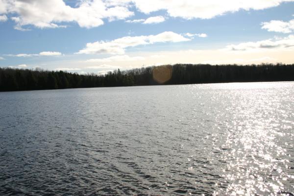 View of Minnicock Lake from Dock