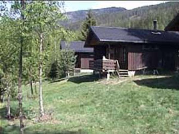 Vradal, Telemark, Vacation Rental Chalet