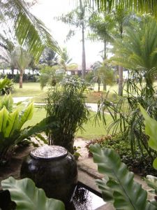 Tropical gardens 