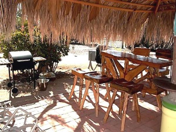 Bar by the pool with BBQ and Smoker under a Palapa