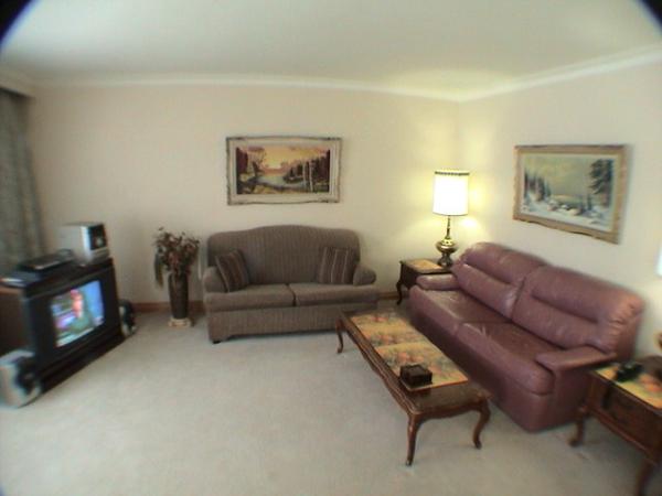 Large Livingroom with Sofa Bed