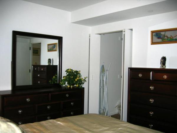 One more view of a bedroom with walk-in closet