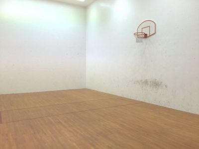 Basketball/Netball court