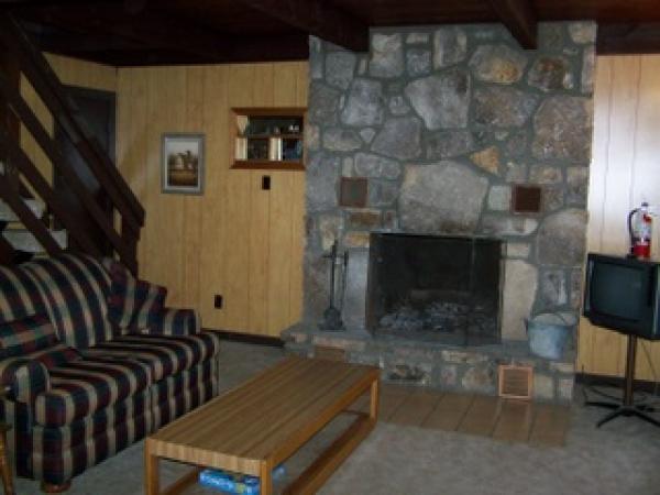 Den with Second Fireplace