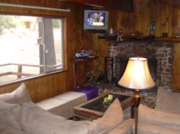 Cozy  Living Room