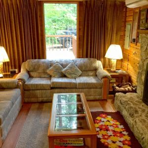 Snowline Cabin #35 living room