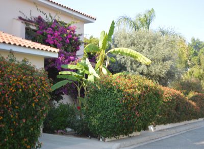 The villas are in an oasis of flowers and trees,in a private road. 