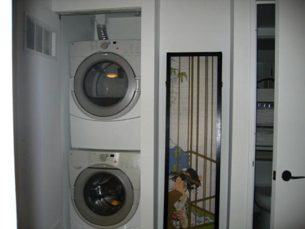 Dryer/washer in the unit