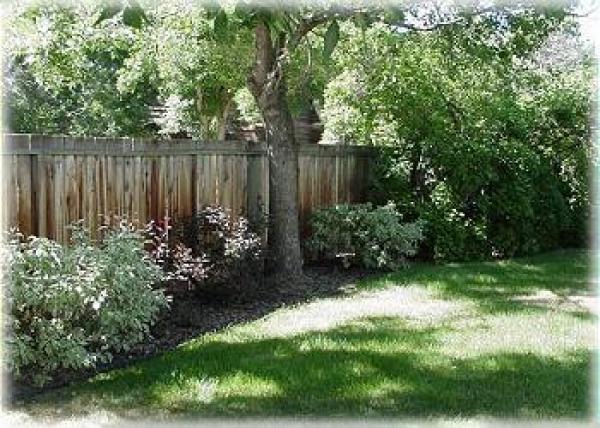The private fenced yard 
