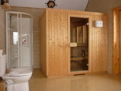 Villa Transsylvania sauna and shower room