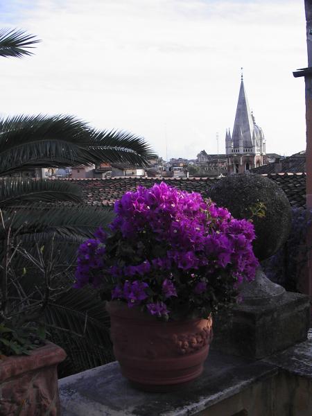 View from the Wisteria Terrace
