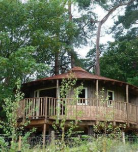 Eco-Lodge tree house