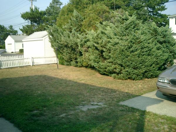 Back Yard with Private Parking