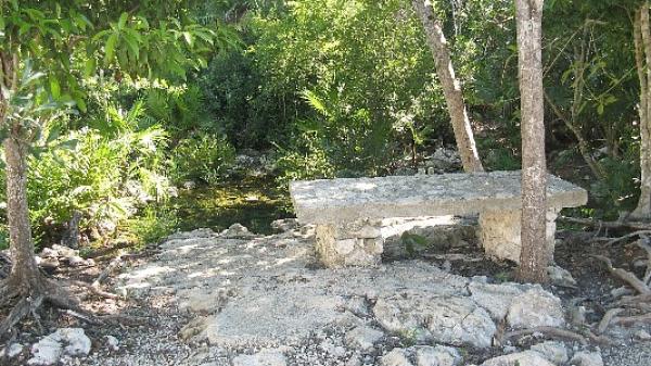 Steps Away is Freshwater Cenote for a Cooling Dip