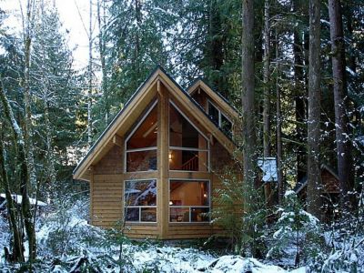 Snowline Cabin #4