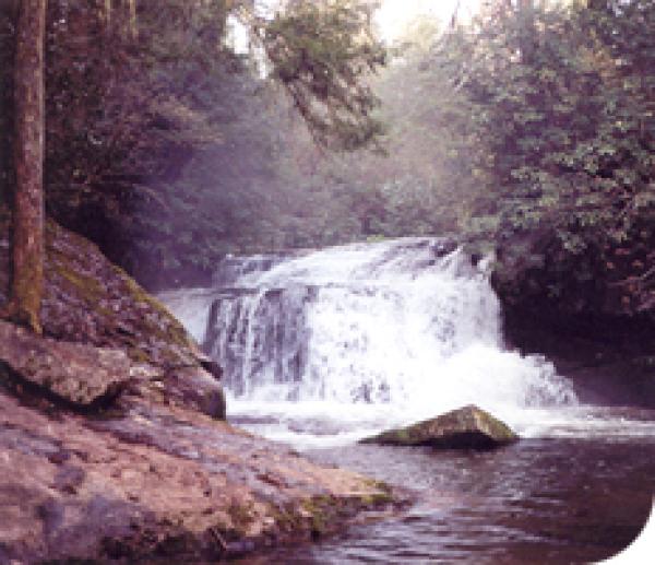 One of Transylvania County's 250 Waterfalls
