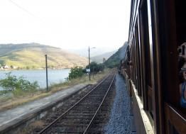 Douro vineyards and the steam train