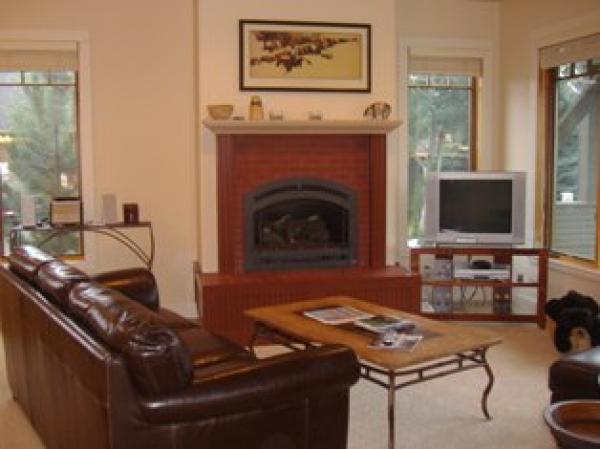 Mountain view living room & fireplace