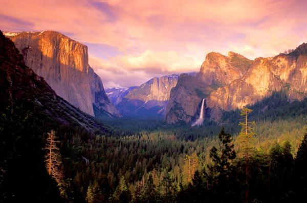 Magnificent Yosemite National Park