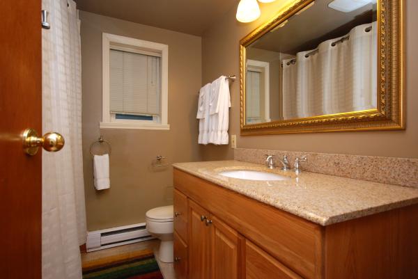 Main Bathroom-granite counter, bathtub and shower