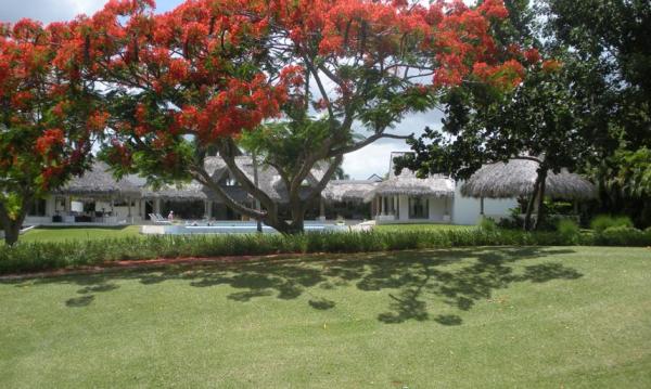 View from Golf Course with Flamboyan Trees