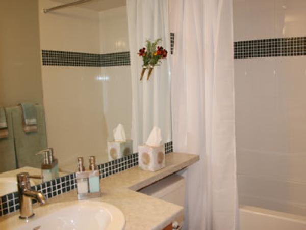 Bathroom With Soaker Tub/Shower Combination