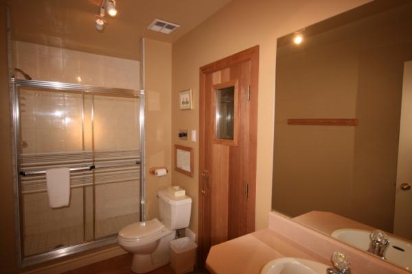 bathroom with shower and private sauna	