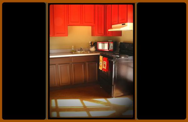 bright, sunny kitchen with warm cork floor