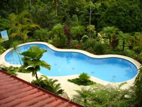 Casa Amigos Lap Pool