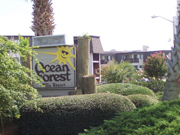 Welcome to Ocean Forest Villas