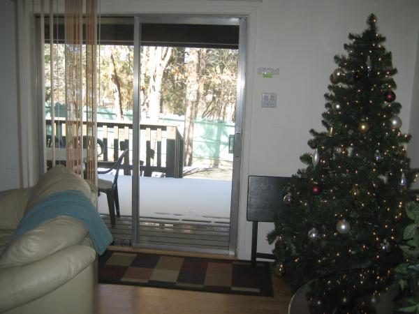 Living Room with Christmas Tree