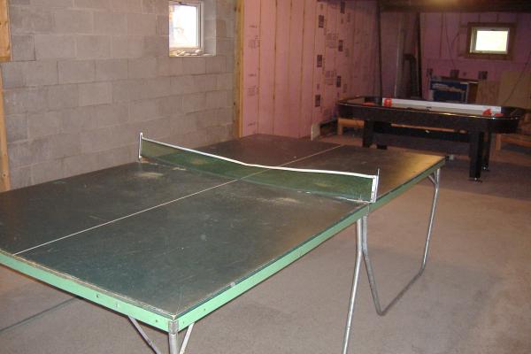 basement with ping pong
