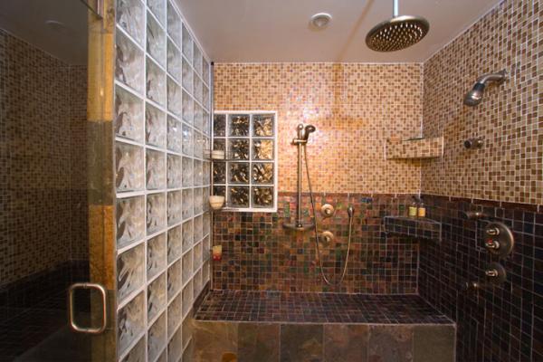 Master Bathroom Shower/Steam Room