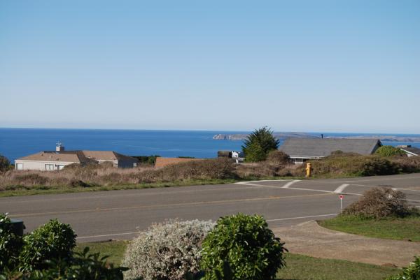 View of Bodega Head