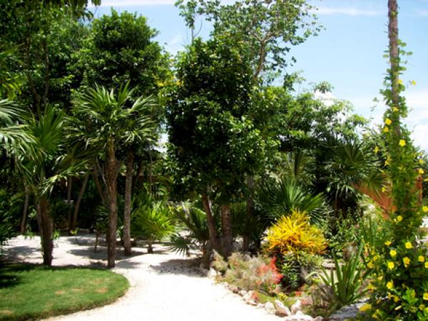 Unique, private and beautiful tropical garden
