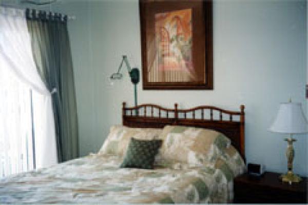 Comfy queen bed and TV  in master bedroom 