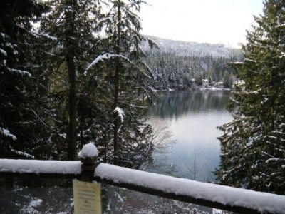 Silver Lake cabin lakefront views