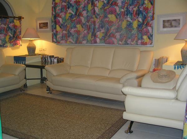 Comfortable & Modern Leather Living room furniture