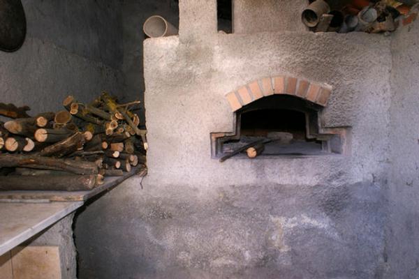 Wood burning pizza oven in back yard 