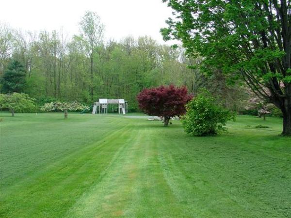 View of Side Yard and Playset in Background 